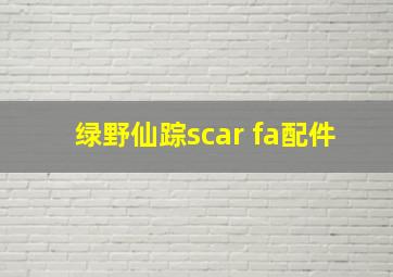 绿野仙踪scar fa配件